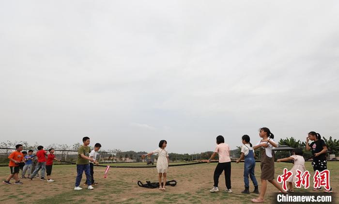 广东港青“农夫”：脚踩泥土，“耕”出大湾区农业新路