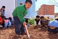 新区第八幼儿园举行第三届开锄节