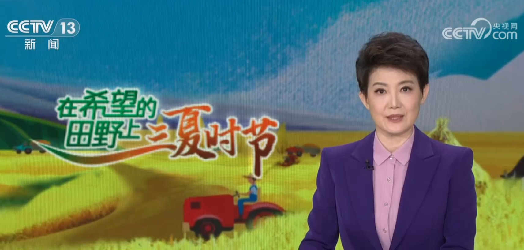 央媒看新区丨三夏时节 甘肃兰州 小麦进入灌浆期 智慧农机来管护