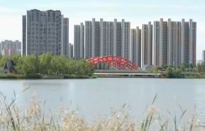 瞰新区(10月27日)
