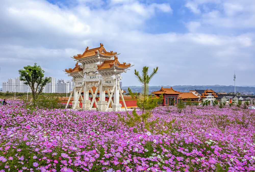 【中央媒体看甘肃】中川城际铁路加密开行助力兰州新区旅游新模式