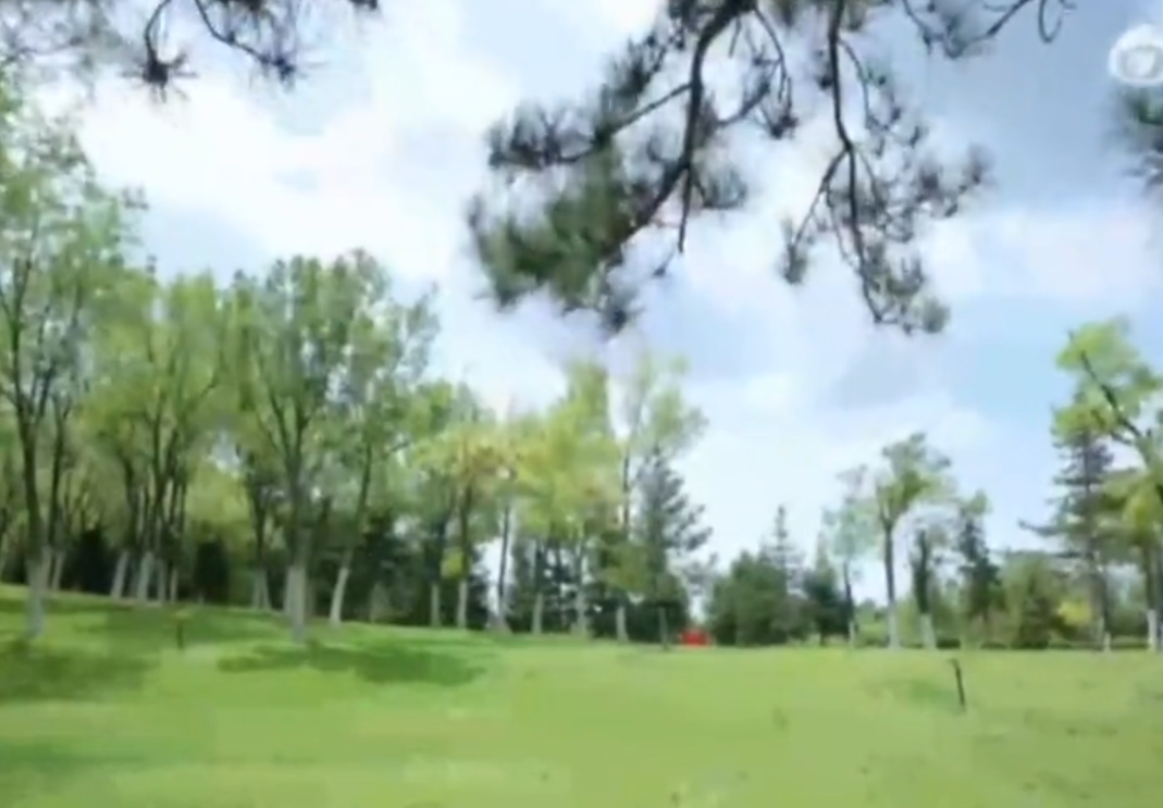 2026年4月14日【新区新闻】