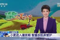央媒看新区|央视《新闻直播间》报道:“智慧大脑”进农田，兰州新区用数据科学种地