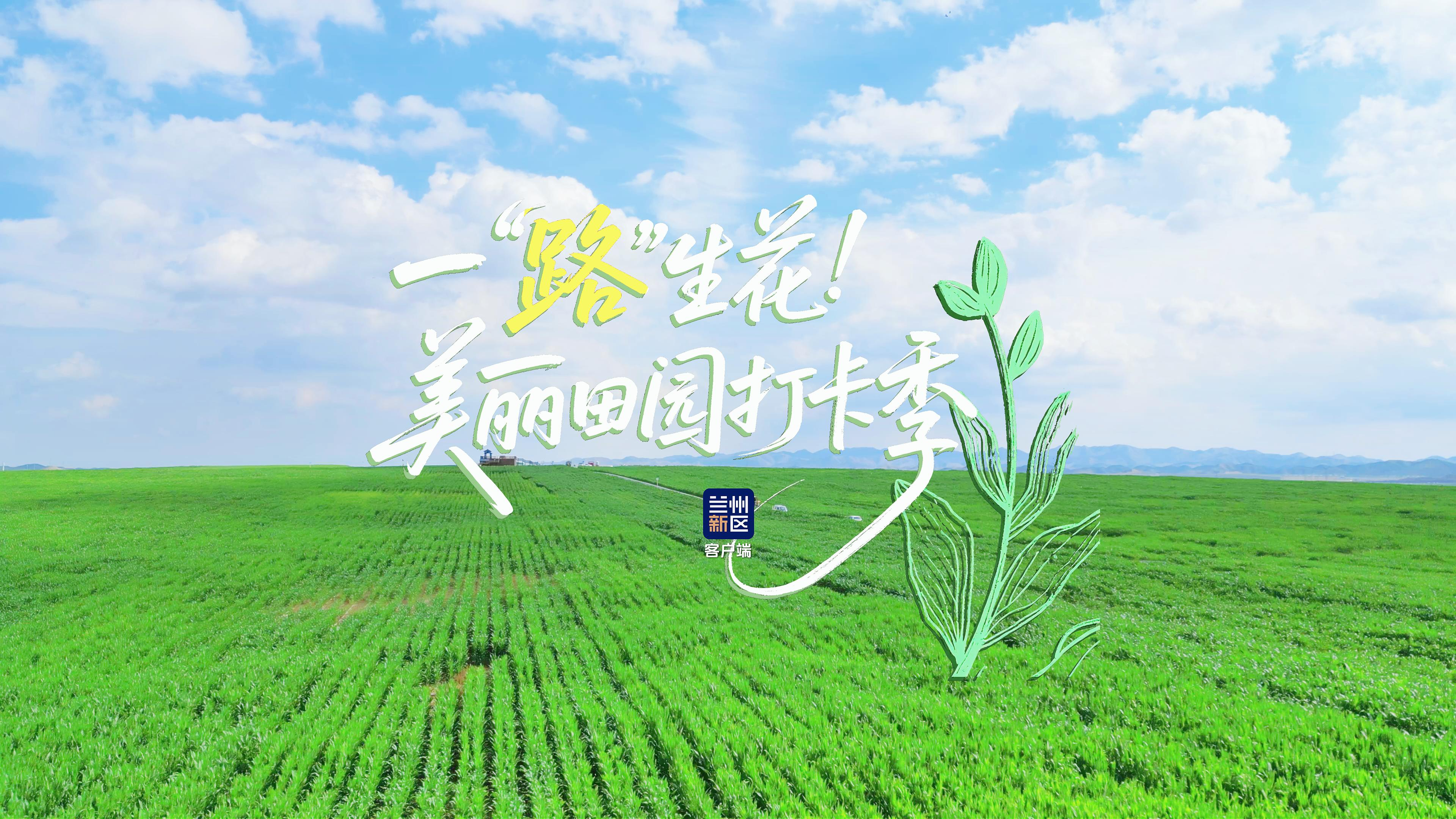 一“路”生花——美丽田园打卡季